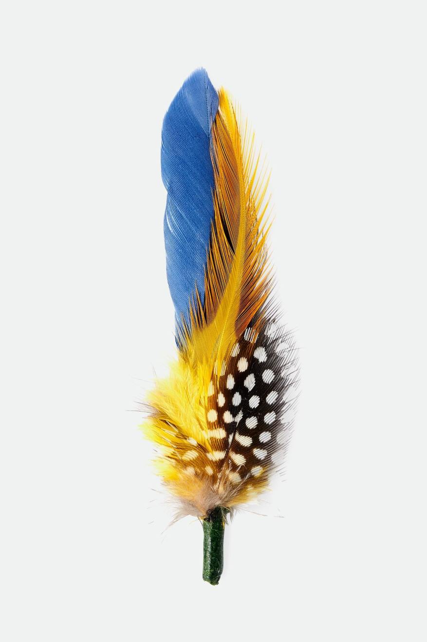 Unisex Brixton Hat Feather in Joe Blue/Black/Yellow