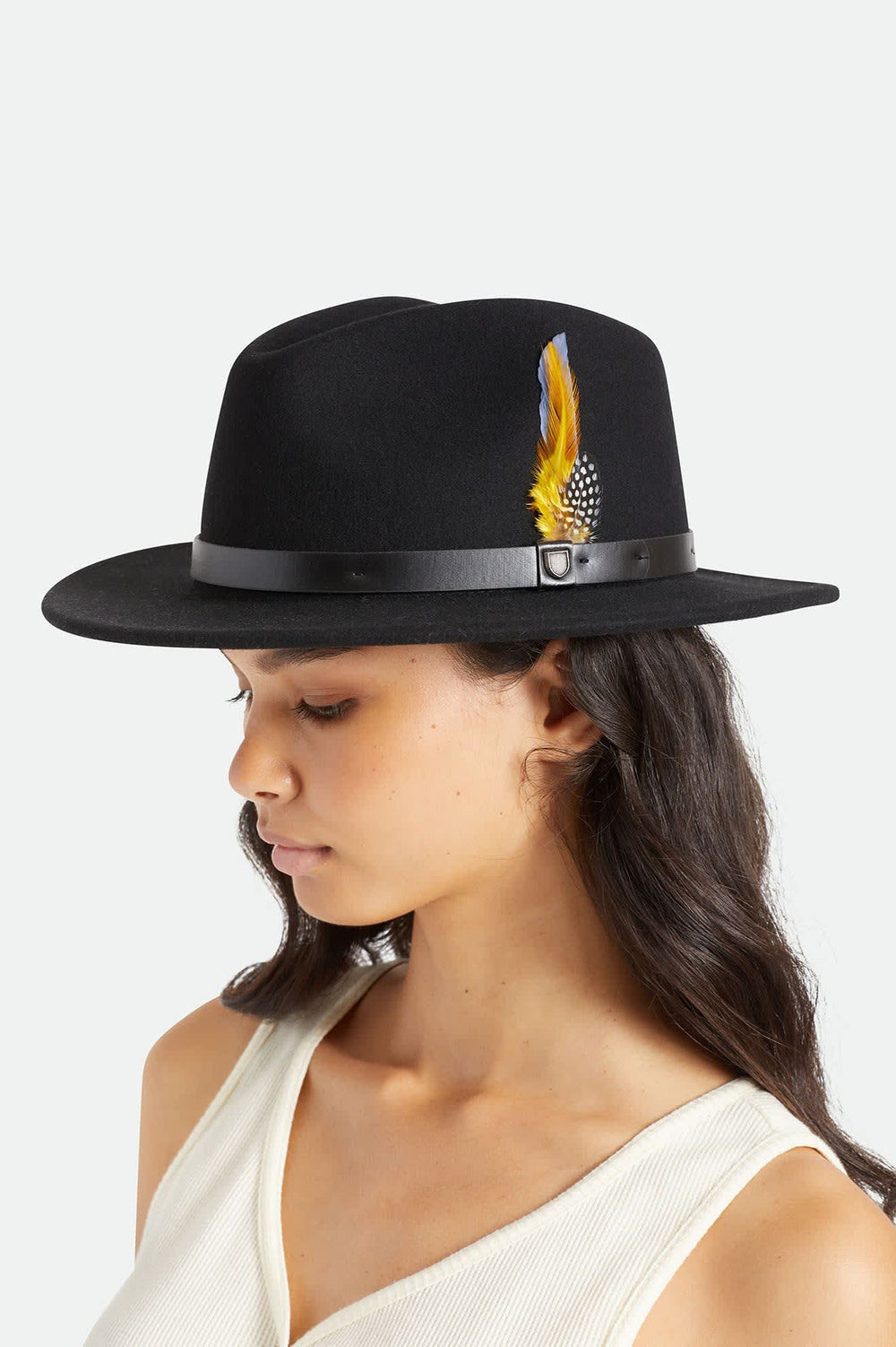 Unisex Brixton Hat Feather in Joe Blue/Black/Yellow